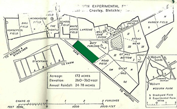 Butt Close shown in green